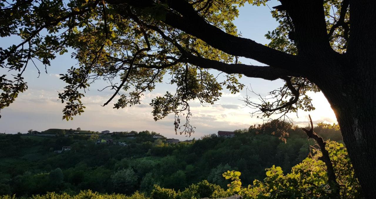 Serravalle delle Langhe Cascina Brichat Alta Langa Bed & Breakfast エクステリア 写真