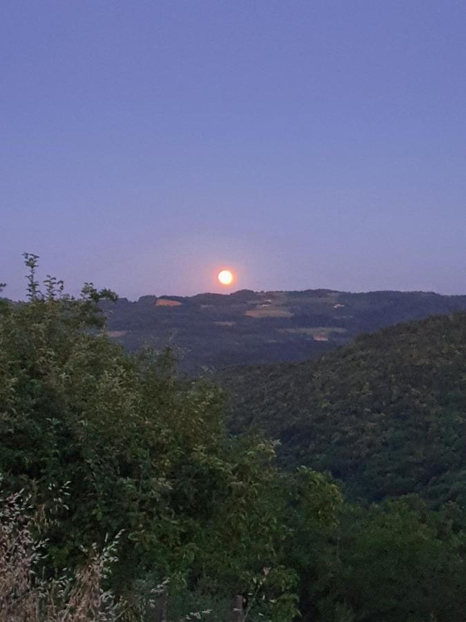 Serravalle delle Langhe Cascina Brichat Alta Langa Bed & Breakfast エクステリア 写真