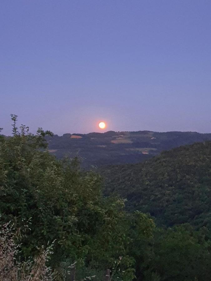 Cascina Brichat Alta Langa Serravalle delle Langhe エクステリア 写真